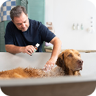 Langhaar Hundeshampoo