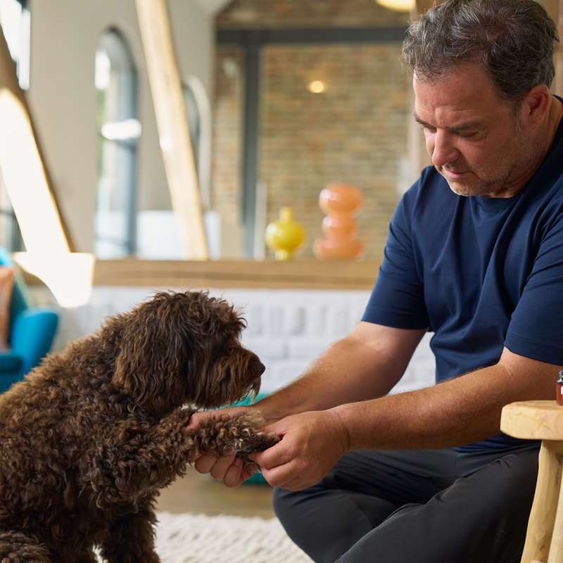 Martin Rütter cremt Pfote mit Petchen Pfotenbalsam ein